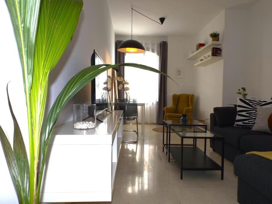 Apartamento Suite Centrico B مالقة المظهر الخارجي الصورة